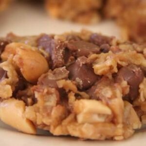 Chocolate Chip and Oat No Bake Cookies