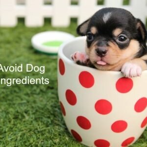 Must-Avoid Dog Food Ingredients